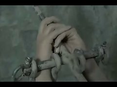 कुतिया गड़बड़ और कीचड़ में खींचें