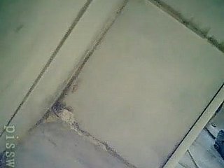새로운 WC (18)